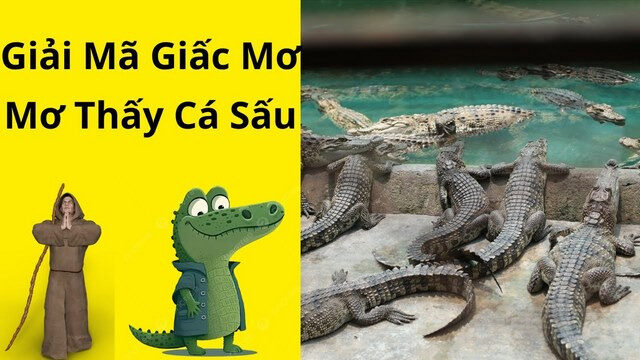 Cá sấu dưới nước