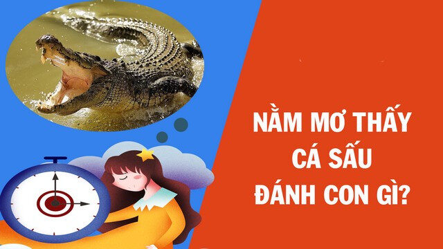 Cá sấu và những con số may mắn