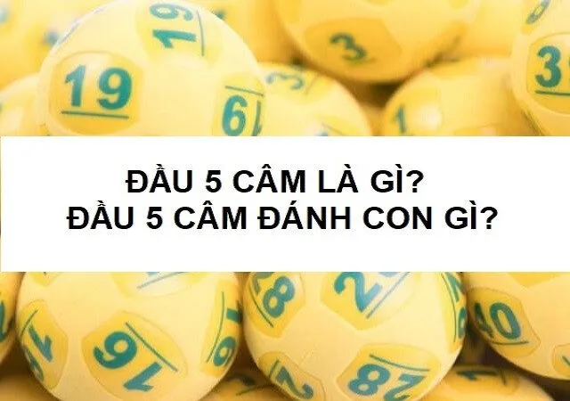 Đầu 5 câm hôm sau đánh con gì